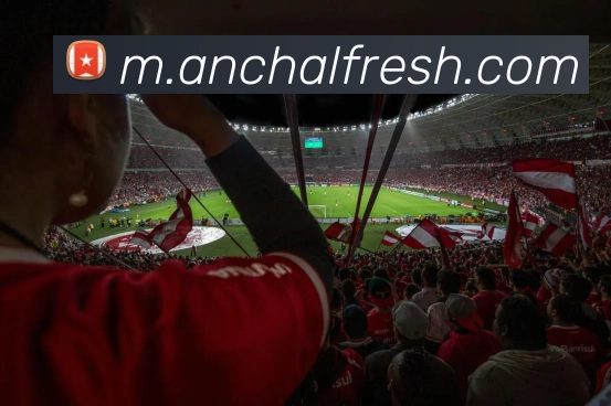 电竞直播专区
